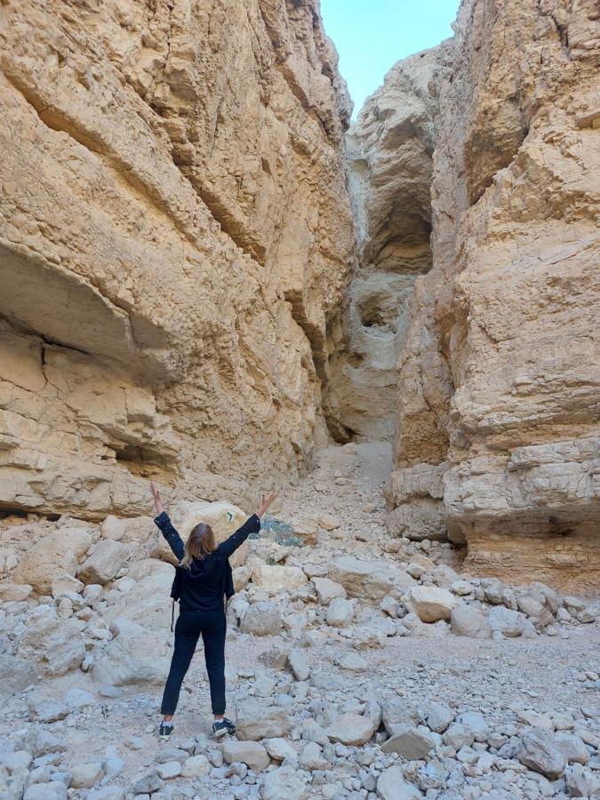 המקום של כרמית ネヴェ・ゾハール エクステリア 写真